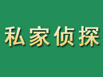 居巢市私家正规侦探